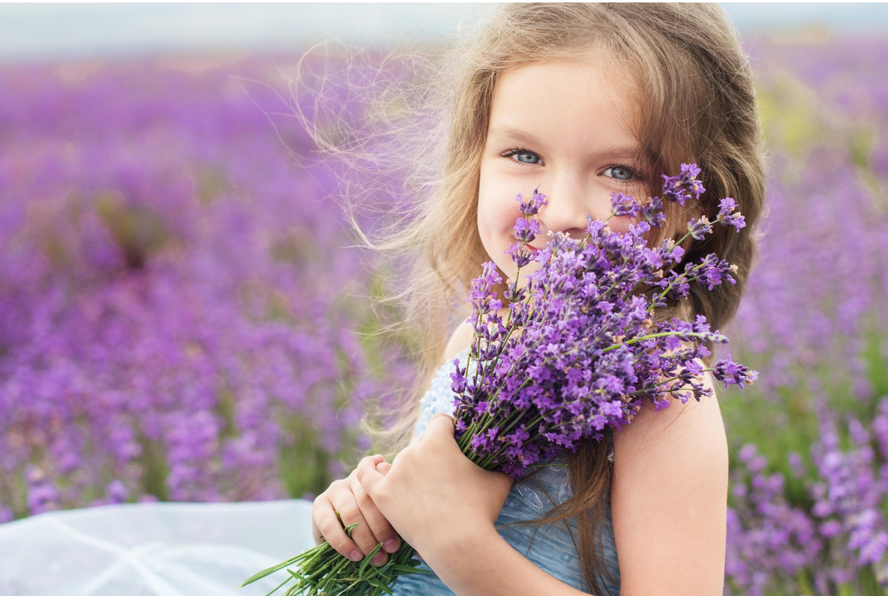 young girl with blue eyes holding lavender bunch in a fieldin lavender field