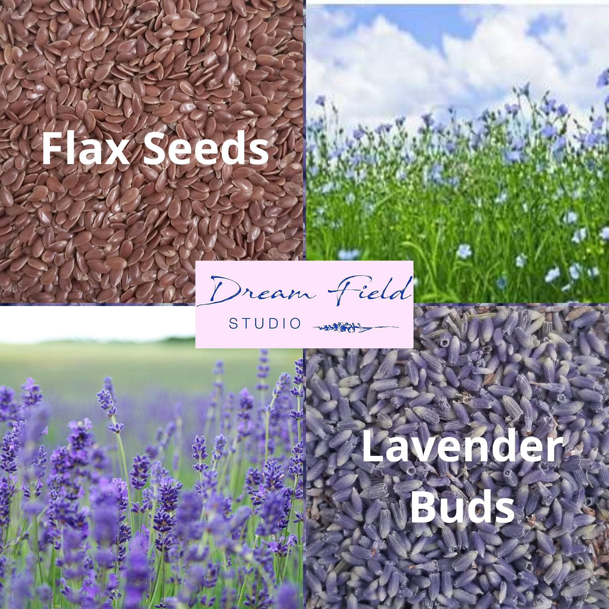 Infographic showing flax seeds, lavender fields and lavender buds